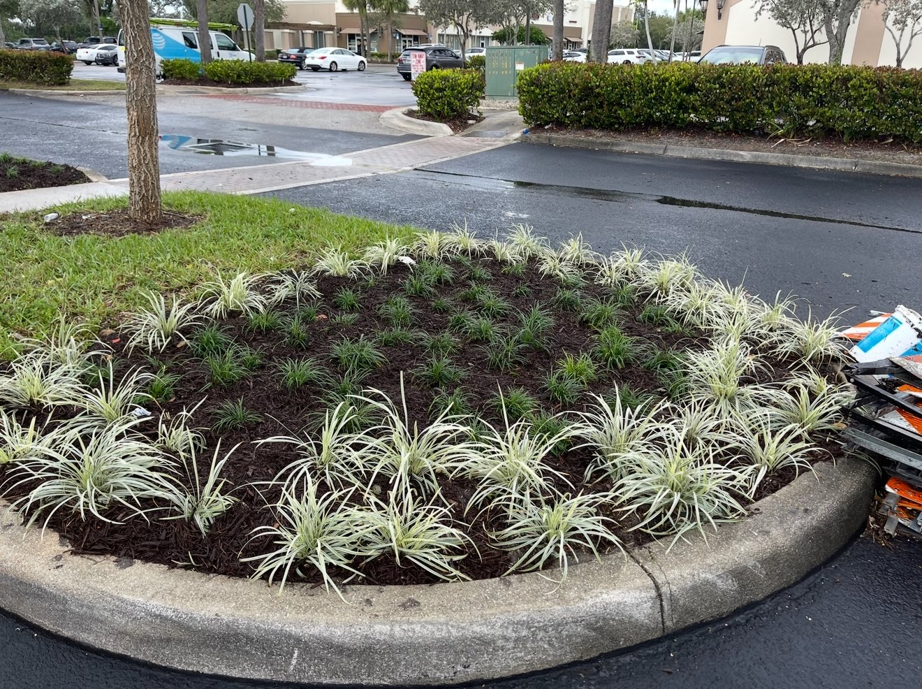 Well-maintained grounds at a commercial HOA property with manicured hedges and lawn