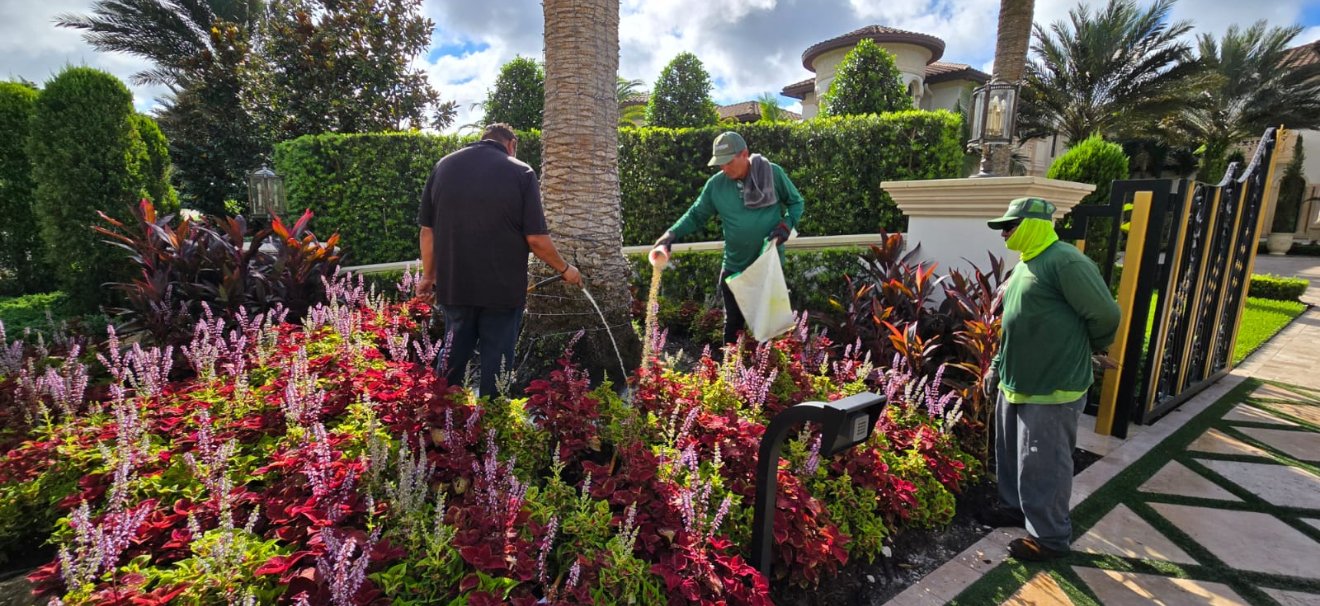 Irrigation sprinkler head watering a landscaped bed as part of a tuned sprinkler system