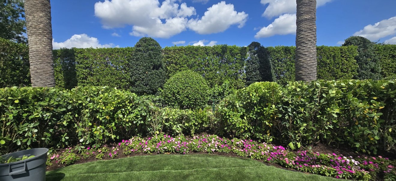 Custom South Florida landscape design with native palms and structured planting beds